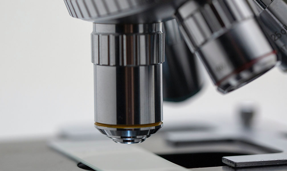 lmm-laboratoire-m-diterran-en-de-microbiologie